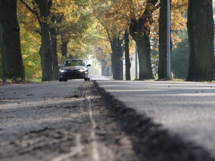 W dni świąteczne ul. Klonową dojedziesz na stary cmentarz W dni świąteczne ul. Klonową dojedziesz na stary cmentarz