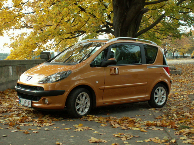 Używany Peugeot 1007 (20042009). Silniki, wady, zalety, ceny