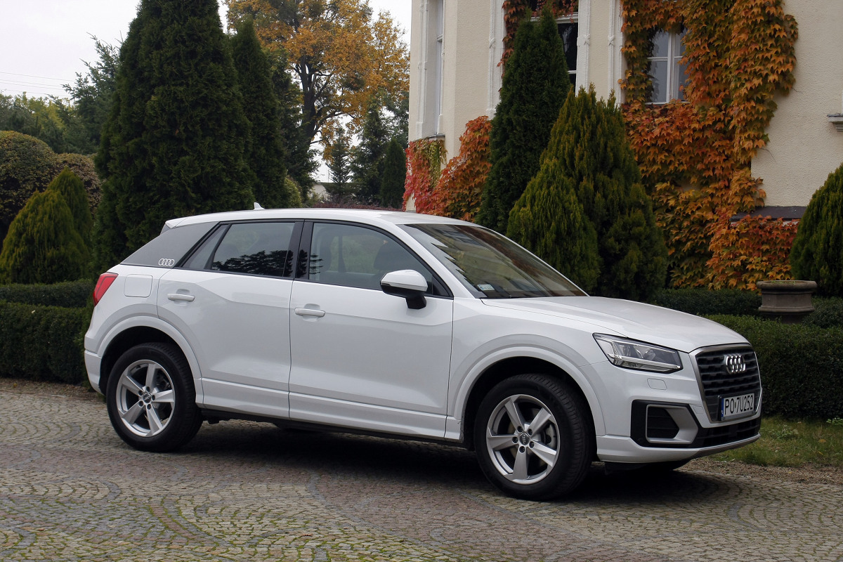 Audi Q2
Gama silnikowa Q2 jest dość okrojona. Jak na razie obejmuje 150-konnego benzynowca 1.4 TFSI CoD i dwa turbodiesle – 1.6 TDI (116 KM) oraz 2.0 TDI (190 KM). Przewidziano też 116-konnego trzycylindrowca 1.0 TFSI, który z pewnością zainteresuje wyjątkowo spokojnych i oszczędnych kierowców.
Fot. Dariusz Dobosz Audi Q2
Gama silnikowa Q2 jest dość okrojona. Jak na razie obejmuje 150-konnego benzynowca 1.4 TFSI CoD i dwa turbodiesle – 1.6 TDI (116 KM) oraz 2.0 TDI (190 KM). Przewidziano też 116-konnego trzycylindrowca 1.0 TFSI, który z pewnością zainteresuje wyjątkowo spokojnych i oszczędnych kierowców.
Fot. Dariusz Dobosz