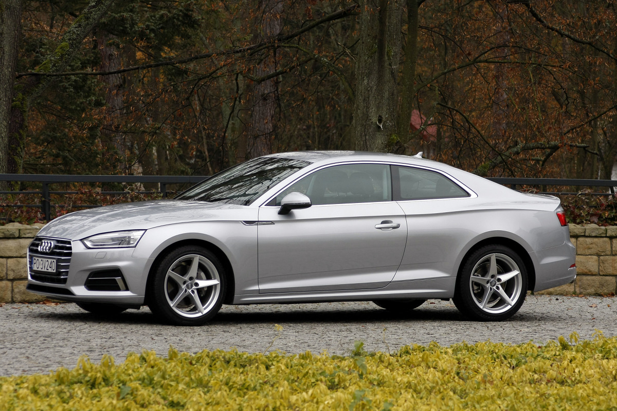 Nowe Audi A5
Jadąc A5 można zadać szyku a przy okazji utrzeć nosa tym, którym się wydaje, że mają szybkie samochody. To wyjątkowo udane połączenie sportu i elegancji.
fot. Dariusz Dobosz Nowe Audi A5
Jadąc A5 można zadać szyku a przy okazji utrzeć nosa tym, którym się wydaje, że mają szybkie samochody. To wyjątkowo udane połączenie sportu i elegancji.
fot. Dariusz Dobosz