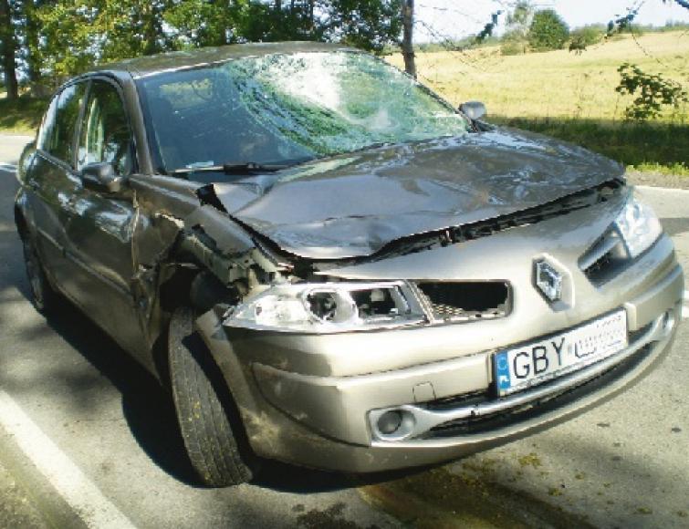 Zwierzęta powodują groźne wypadki, a odszkodowań nie ma Zwierzęta powodują groźne wypadki, a odszkodowań nie ma