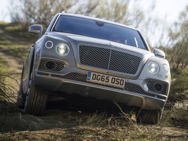 Bentley Bentayga
SUV napędzany jest 608-konnym silnikiem W12 TSI, który generuje moment obrotowy wynoszący 900 Nm. Przyspieszenie do 100 km/h ważącemu 2422 kg samochodowi zajmuje 4,1 s, natomiast prędkość maksymalna wynosi 301 km/h.
Fot. Benyley Bentley Bentayga
SUV napędzany jest 608-konnym silnikiem W12 TSI, który generuje moment obrotowy wynoszący 900 Nm. Przyspieszenie do 100 km/h ważącemu 2422 kg samochodowi zajmuje 4,1 s, natomiast prędkość maksymalna wynosi 301 km/h.
Fot. Benyley