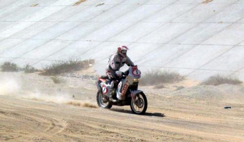 Fot. Tamer Abd Elkhaleh Fot. Tamer Abd Elkhaleh