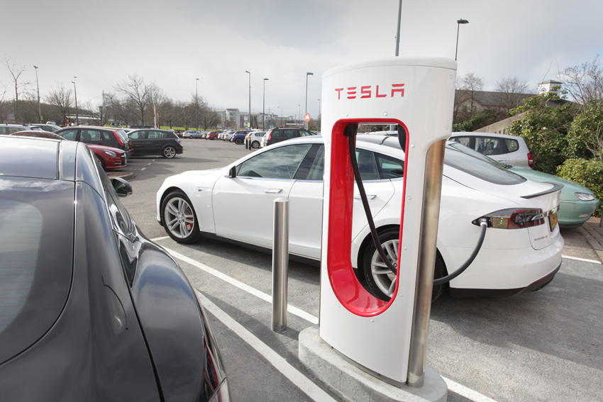 Fot. Tesla/Newspress Fot. Tesla/Newspress