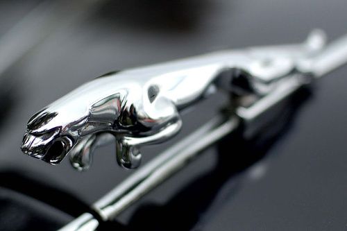 Fot. Jaguar Fot. Jaguar