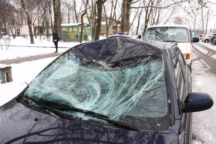 Za auta uszkodzone przez dzikie zwierzęta płaci tylko autocasco Za auta uszkodzone przez dzikie zwierzęta płaci tylko autocasco