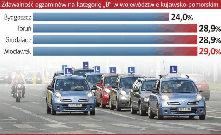 Psycholog: Ludzie mniej inteligentni szybciej robią prawo jazdy Psycholog: Ludzie mniej inteligentni szybciej robią prawo jazdy