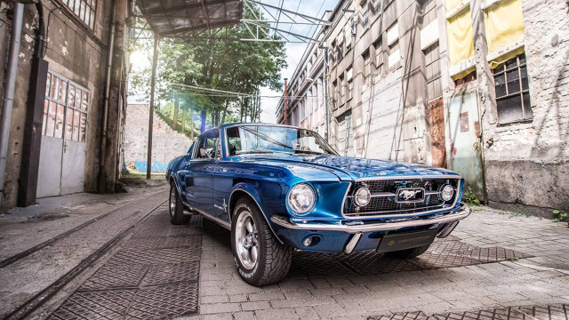 Ford Mustang
Firma podkreśla, że chciała stworzyć projekt, w którym będzie przenikać się „nowoczesny i klasyczny design". Do wykończenia wnętrza auta użyta została m.in. czarna skóra, aluminium oraz włókno węglowe.
Fot. Carlex Design Ford Mustang
Firma podkreśla, że chciała stworzyć projekt, w którym będzie przenikać się „nowoczesny i klasyczny design". Do wykończenia wnętrza auta użyta została m.in. czarna skóra, aluminium oraz włókno węglowe.
Fot. Carlex Design